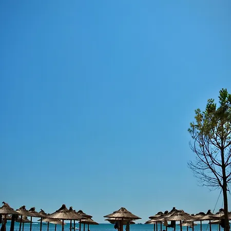 Fleeville Zhan 2 Durrës